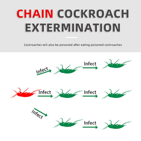 Cockroach Killer Gel 8pcs