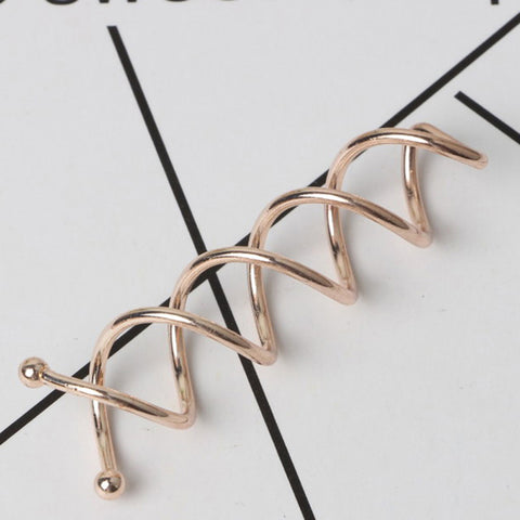 10pcs Spiral Twist Hair Pins